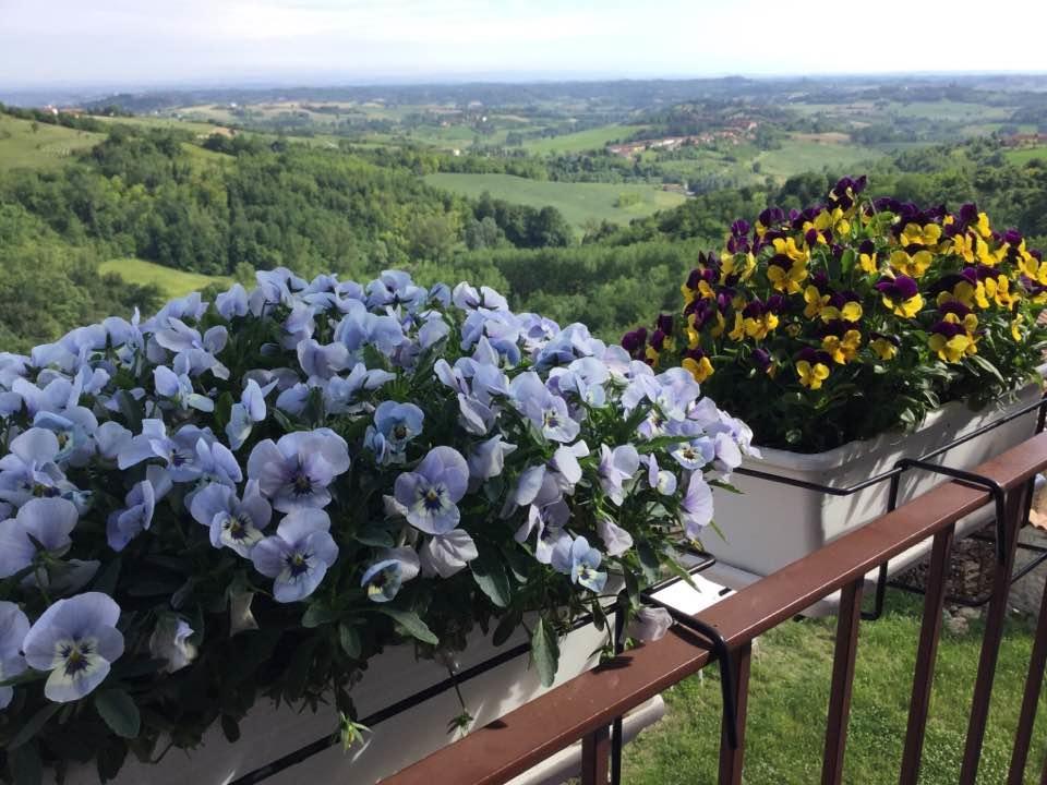 B&B Monferrato La Casa Sui Tetti Murisengo Exterior foto